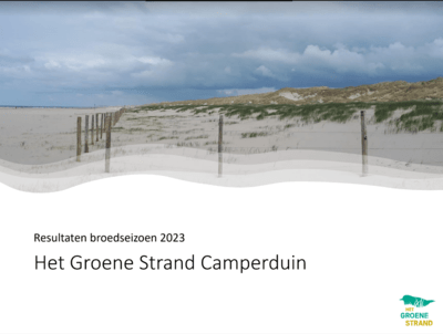 het-groene-strand-2023